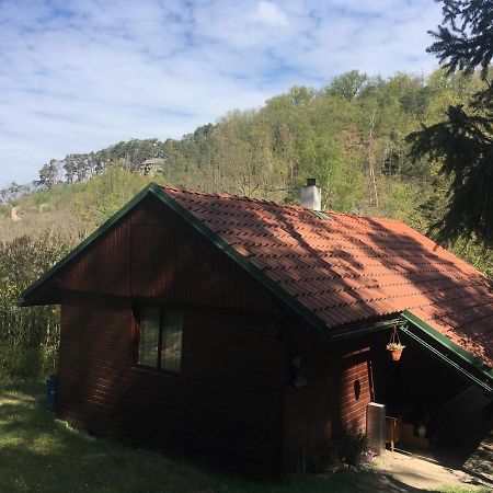 Chata U Certovych Hlav Villa Zelizy Kültér fotó